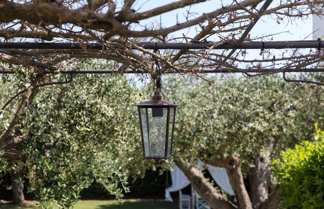 Tenuta Vigna Corallo - Foto 49