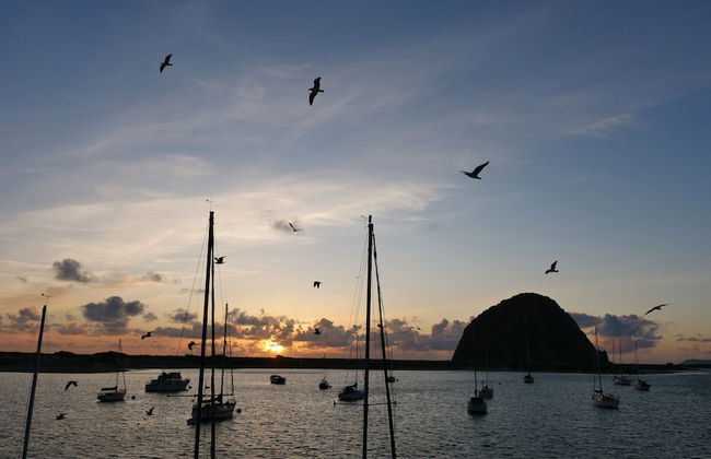 Gray's Inn & Gallery - Foto 20