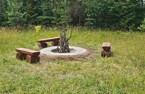 Leśne Wspomnienia - Foto 31