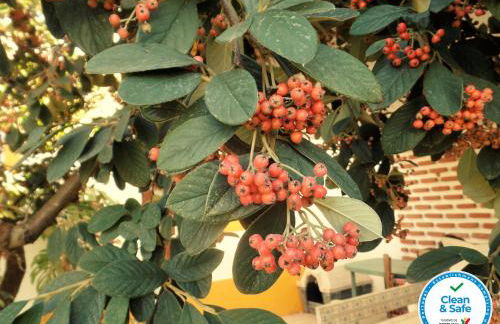 Casa das 3 Palmeiras - Foto 37