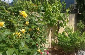 Gîte de l'Olivier - Foto 18