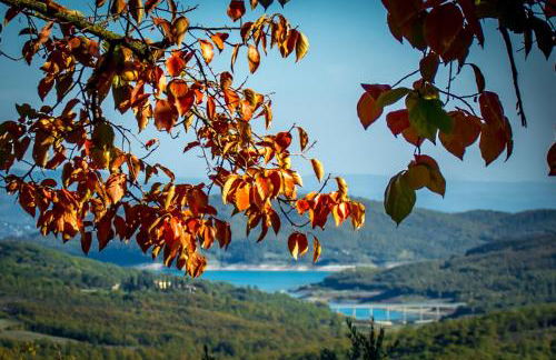 Agriturismo Terra di Michelangelo - Foto 112