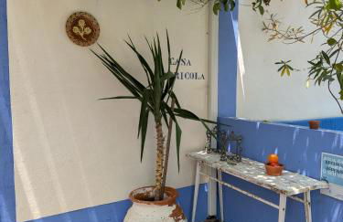 Monte das Aranhas - Foto 35