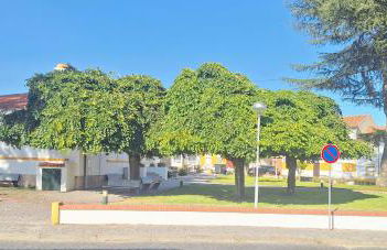 Casa dos pais - Foto 31