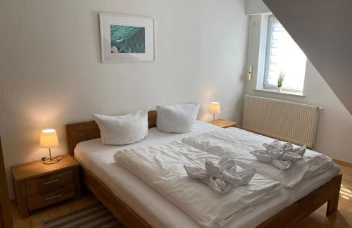 Fischer un sin Fru - Foto 11