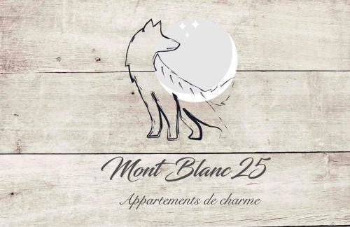 Mont Blanc 25, vue Mont blanc, balcon, parking - Photo 7