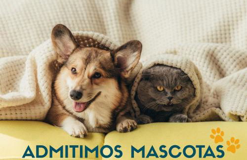 Apartamentos Gavín Biescas 3000 - Foto 6