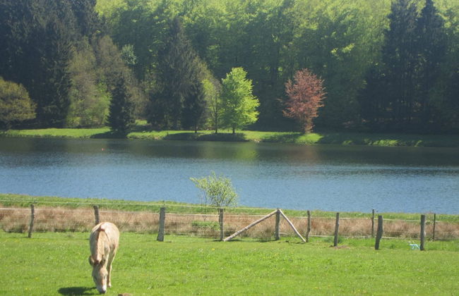 Holiday Home in Bastogne With Garden - Photo 33