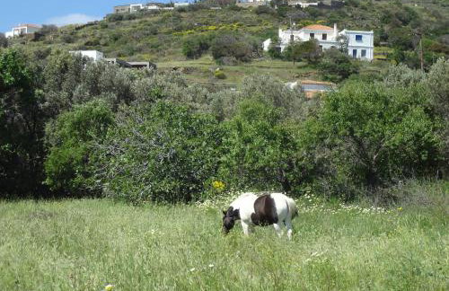 Korthi central appartment by the seaside. - Photo 22