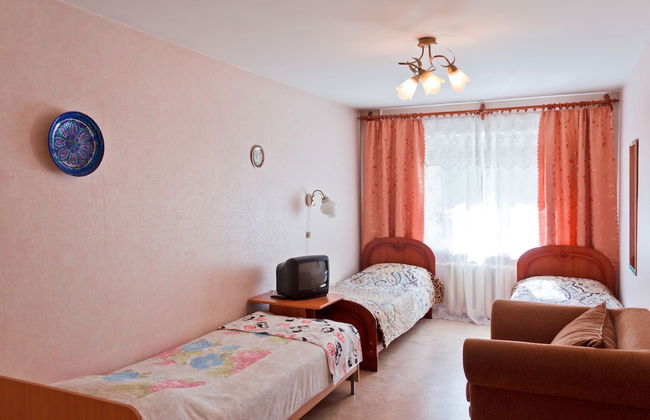 Apartment ALLiS-HALL on Pervomayskaya 70 - Foto 4