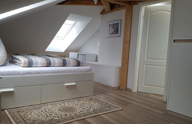 Dresdner-Tag Hermann - Foto 2