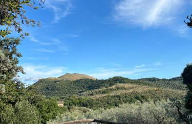 Modern House - Foto 42