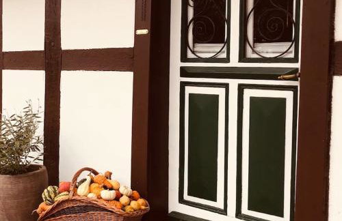 Privat Apartment- Near Strasbourg, Baden Baden - Foto 60