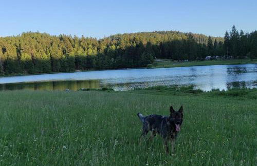Studio avec belle vue proche du lac Genin Echallon - Photo 27