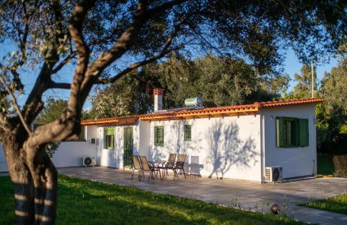 House by the sea - Foto 1