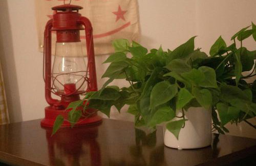 Renovated Salmon Refuge - Foto 46