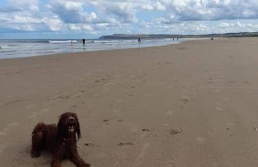 Seaglass Cottage - Redcar - Foto 48