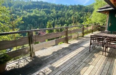 Chata w Szczyrku sauna & balia - Foto 72