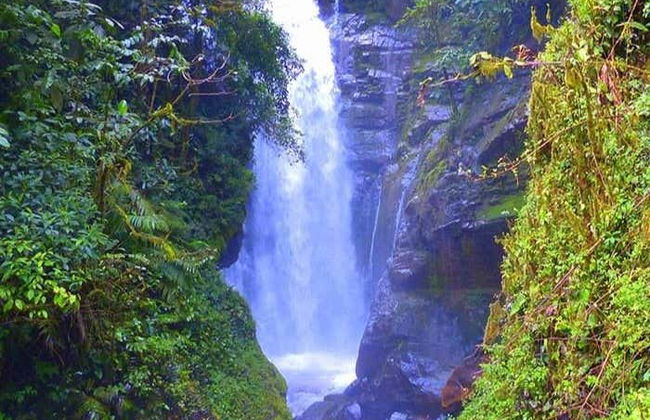 Tigre River Waterfall Tour - Photo 1