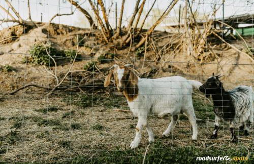 Die Römer - Foto 19