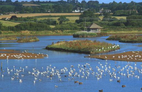 3 Bed in Lyme Regis 61809 - Foto 30