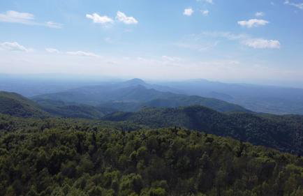 Dushka Mountain Cabin - Photo 57