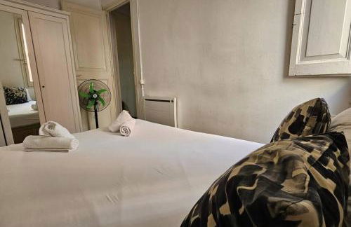 Romantic 19th century apartment - Foto 13