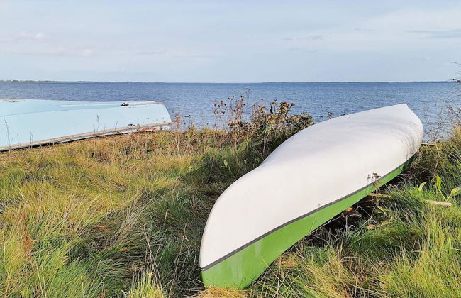 Cozy Coastal Cottage at Jegindo-by Traum - Foto 11