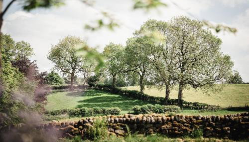 Rocking Stone Cottage - Foto 2