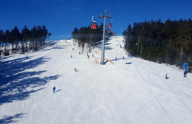 Luxurioser Wellnessaufenthalt in Elend - Foto 27