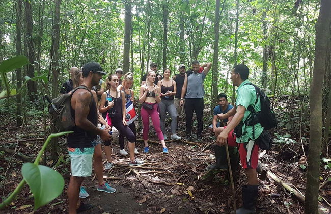 Excursión al volcán Arenal + Aguas Termales - Foto 4