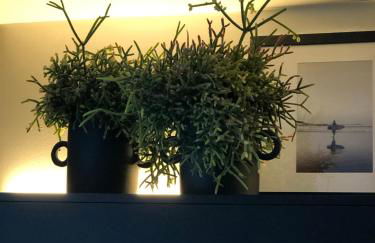 the matter Meaningful apartments Laura - Foto 20