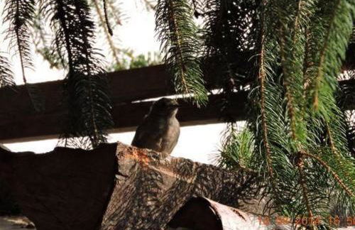 Gîte paisible au pied du Bassin de Champagney, animaux acceptés - FR-1-583-372 - Foto 16