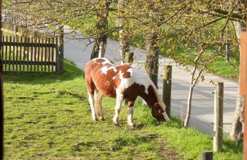 Ferienhof Wolfrum - Foto 32