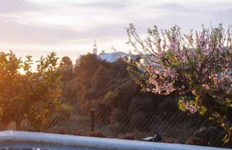 Riurau de Maria - Foto 1