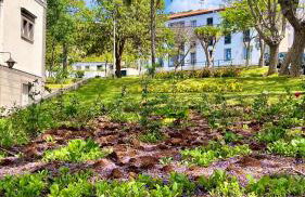 Amazing SEA LIGHT Apartment, close to the beach. - Foto 39