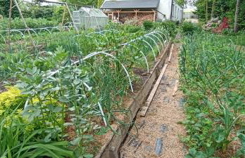 Dom Pod Złotym Bażantem - Foto 4