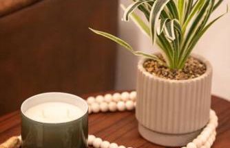 Jolene on Main - East Nash - 1 Mile to DTNash - NEW - Foto 33