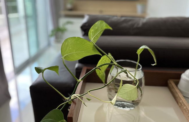 APTO BELLA CITTA - Photo 20