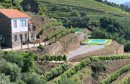 Casa da Oliveira - Photo 3