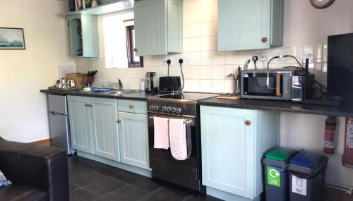 Glascoed Coach House Whitland - Foto 4, stove