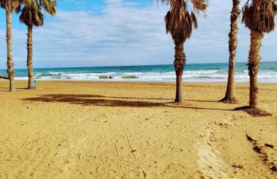 Apartamento Luna Blanca, La Mata, 300 m from the sea and sandy beach plus swimming pool - Foto 30