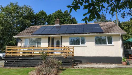 Petlyns Patch - Foto 2