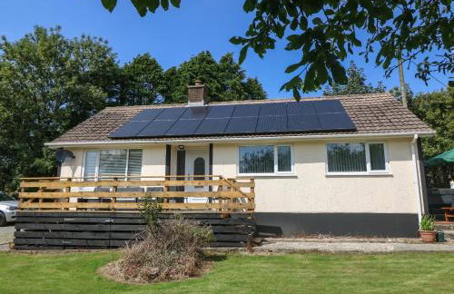 Petlyns Patch - Foto 2