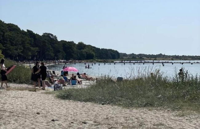 4 Star Holiday Home in Solvesborg - Photo 52