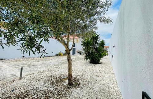 Soares Village II - Foto 24