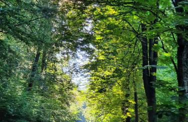 Kansteinblick Weserbergland - Foto 29