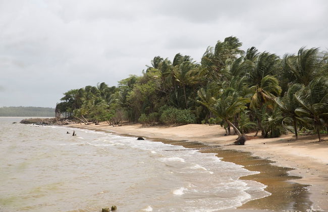 Hostel Toucan Rés Francis avec Piscine - Foto 17