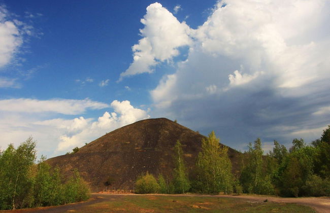 Chalet in Belgium With Cozy Wood Interior - Foto 23