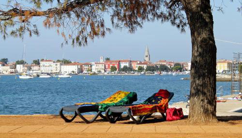 Holiday house with a parking space Sinozici, Central Istria - Sredisnja Istra - 11629 - Foto 4